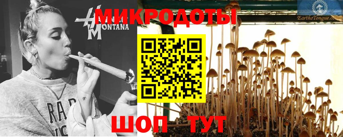 Верхний Уфалей  Галлюциногенные грибы Psilocybe  Вход с VPN 